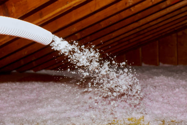 Best Spray Foam Insulation in Brownsville, TX