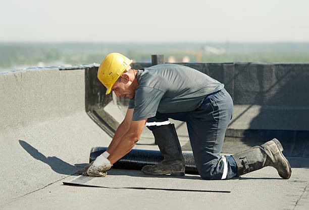 Best Spray Foam Insulation in Brownsville, TX