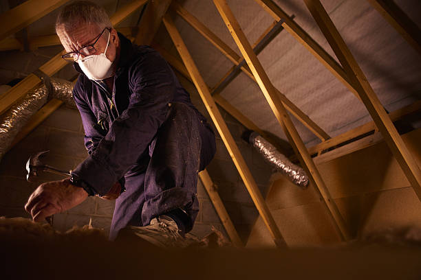 Best Commercial Insulation in Brownsville, TX